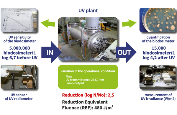 Biodosimetric type test UV plant